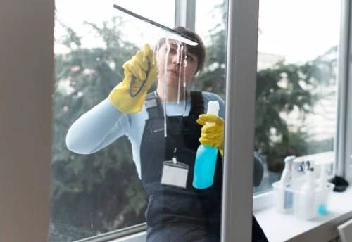 Nettoyage de vitres intérieures et extérieures à Rémilly
